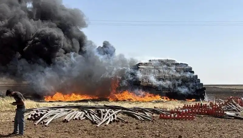 Mardin’de Korkutan Anız Yangını: Yangın Kontrol Altına Alındı