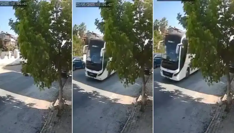 Yol Ortasında Yatan Köpeği Ezip Geçen Sürücüye Şok Tepki!