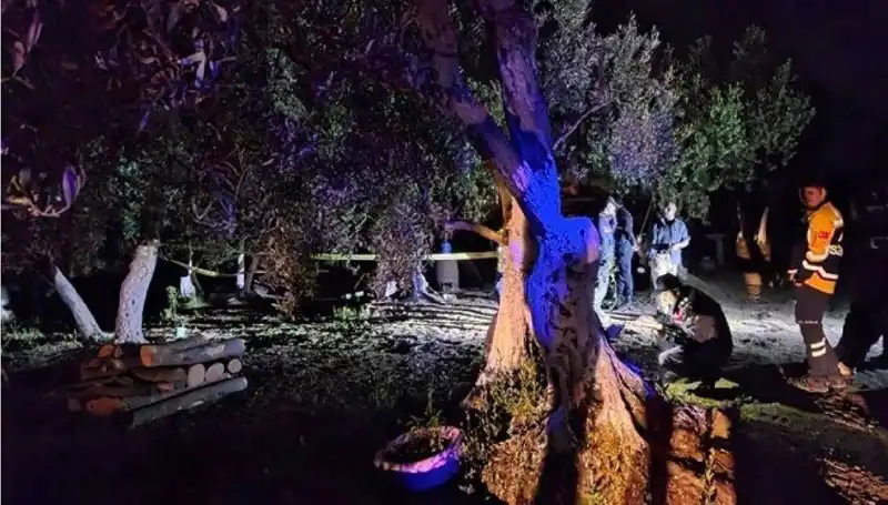 Çiftlikteki Vahşet: Baltalı Saldırgan Yakalandı, Olayın Perde Arkası