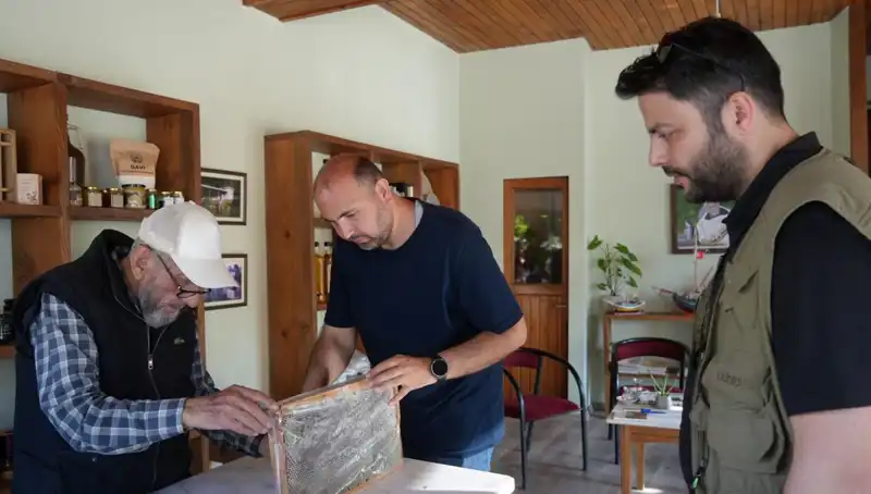 Şifa ve Zehir: Doktor Tavsiyesiyle Tüketilmesi Gereken Doğal Bileşenler