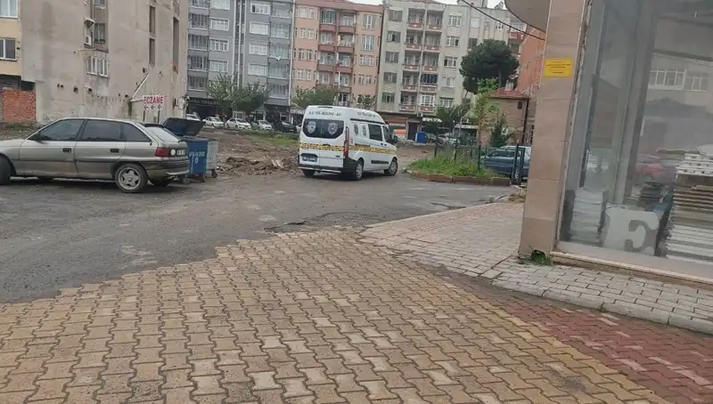 4. Kattan Düşen Kadının İnanılmaz Hayatta Kalma Hikayesi