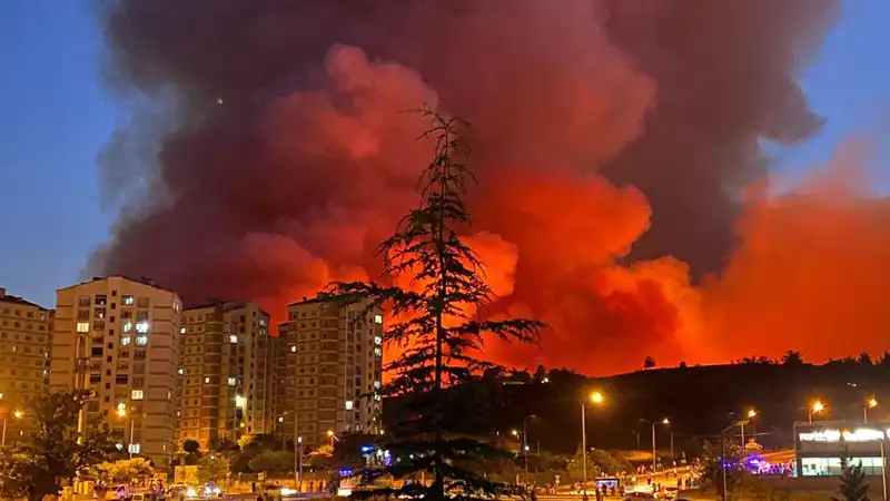 Bursa'daki Yangınlar Şehri Tehdit Altına Aldı: Acil Önlemler Alınmalı!