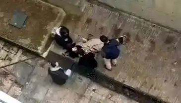 Kampüste Köpek Paniği: Kaçarken Betona Düşen Genç Kız Hastaneye Kaldırıldı