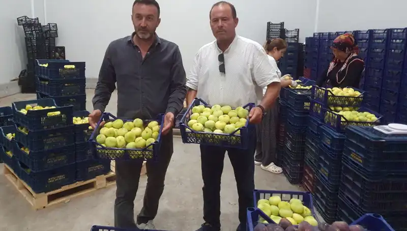 Mersinli Çiftçinin Yüzü Gülüyor: İhraç Edilen Nar Tanesi 20 TL!