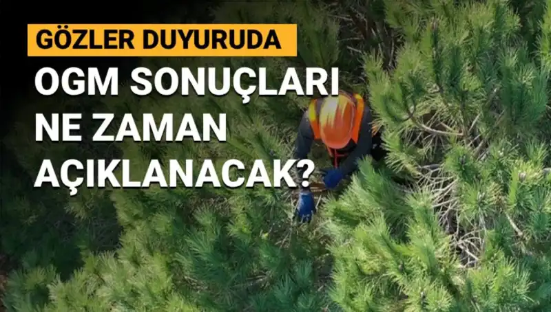OGM 3 Bin 477 Sözleşmeli Personel Alımı: Sonuçlar Ne Zaman Açıklanacak?