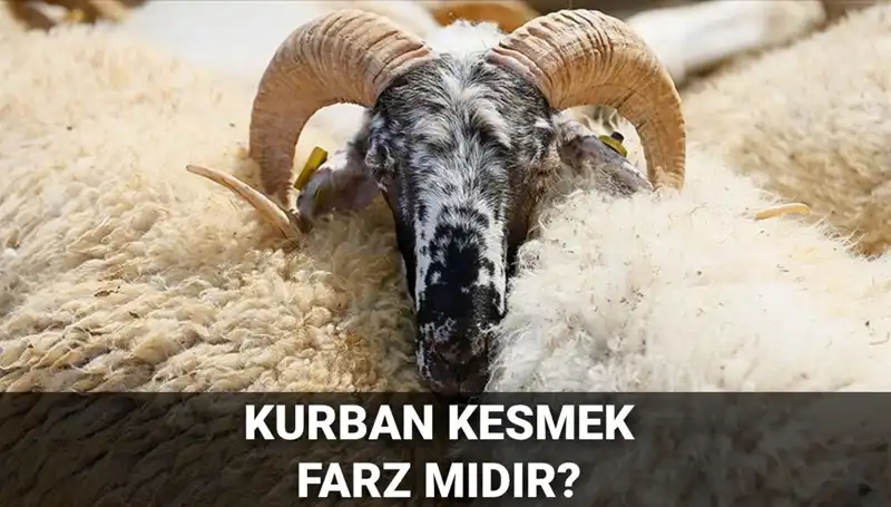 Kurban Kesmek Farz mı? Diyanet’in Açıklamalarıyla Hayvan Kesiminde Dikkat Edilecek Noktalar