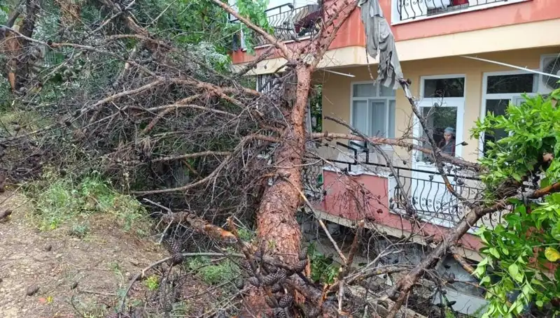 Şiddetli Yağmur Sonrası Bina Çöktü: İnşaat Standartları Tekrar Gözden Geçirilmeli