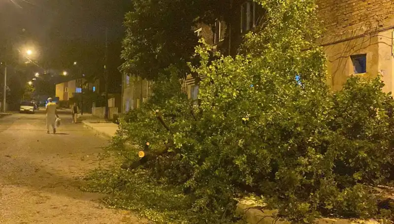 Karabük'te Oluşan Fırtına Hayatı Olumsuz Etkiledi: Son Durum Ne?
