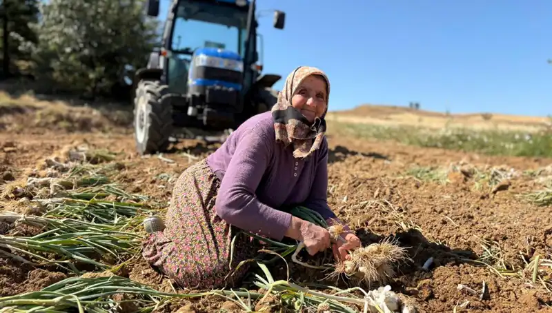 Dünyaca Ünlü Selenyum Kaynağı: Günden Güne Artan Talep