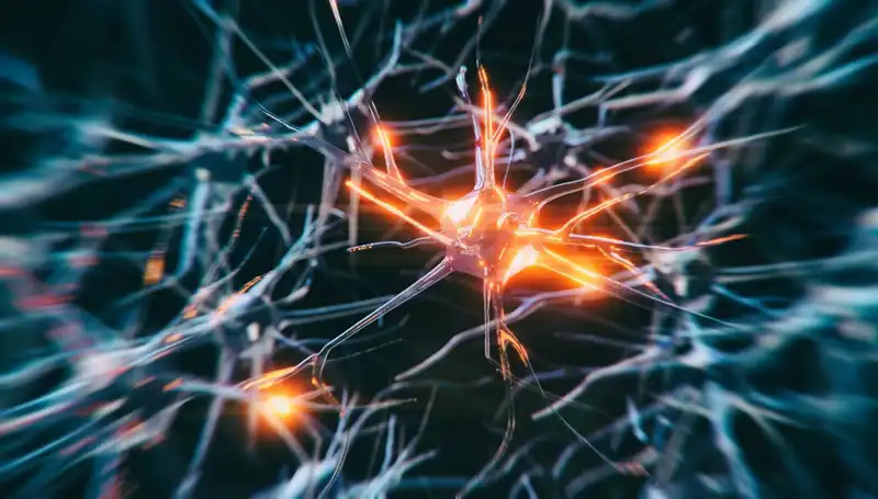 Alzheimer Vakalarındaki Şok Artışın Sebepleri Neler?