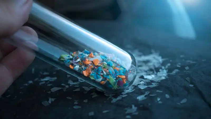 Mikroplastikler Beyin Sağlığımızı Tehdit Ediyor: Bilimsel Gerçekler ve Etkileri