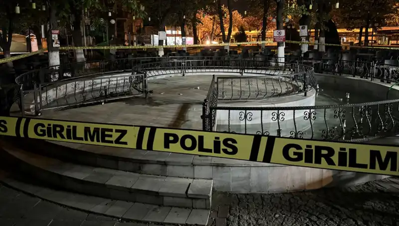 Kırklareli'nde Süs Havuzunda Yaşanan Skandal: Dört Kişi Hastanelik Oldu!