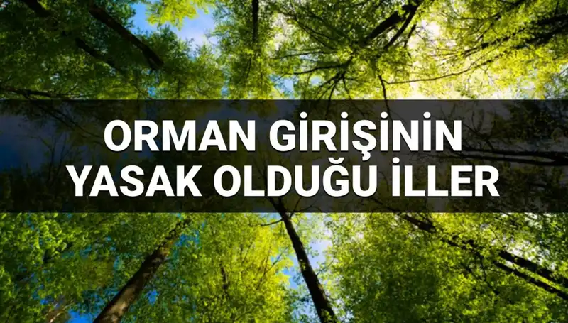 2025'te Ormana Girmek Yasaklanan İller Hangileri? Öğrenin