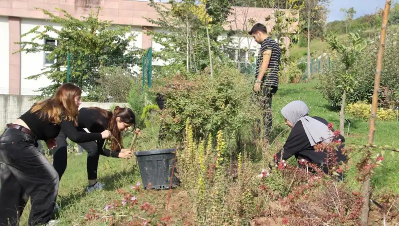 Düzce'den Tüm Dünyaya Yayılacak Benzersiz Bir Başarı Hikayesi