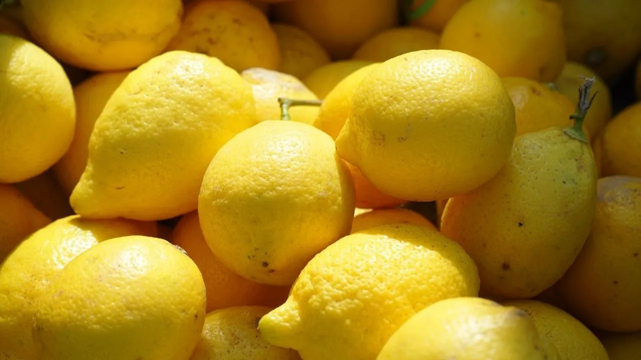 Türkiye’de Pestisitli Limon Krizi: AB Gümrüklerinden Geri Gönderildi