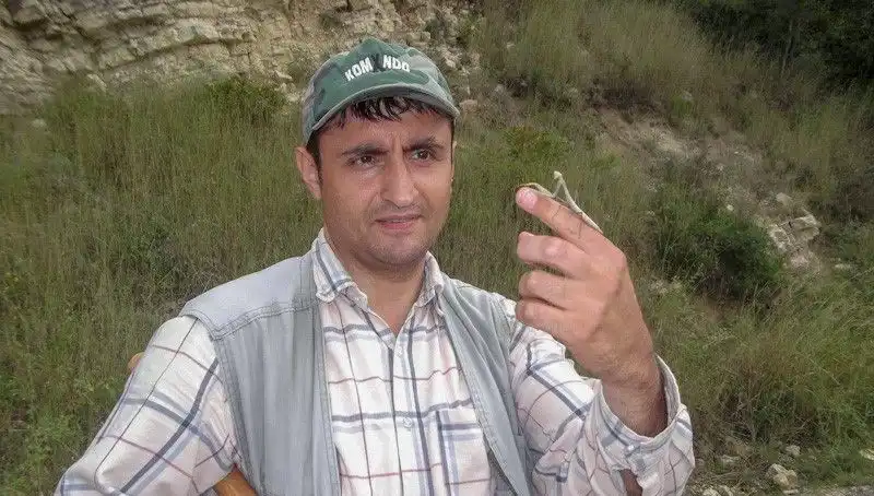 Yeni Keşfedilen Böcek Türüne Eşinin İsmi Verildi: Tepkiler Çığ Gibi Büyüdü