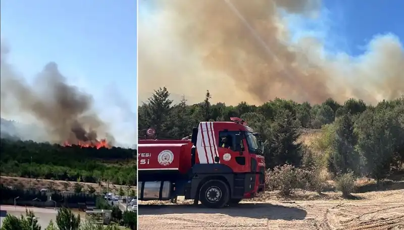 Gebze'de Korkutan Orman Yangını: Doğaya Büyük Zarar Verildi