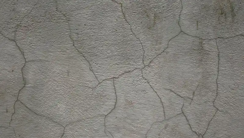 Akıllı İnşaat: Canlı Beton ile Çatlaklar Artık Sorun Değil