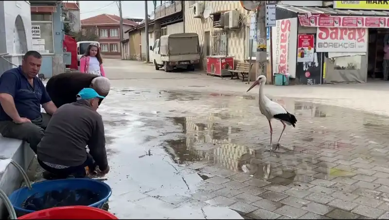 Yaren'den Sonra Bilal Leylek: Yusuf Amca’nın Elleriyle Yaşanan Balık Festivali