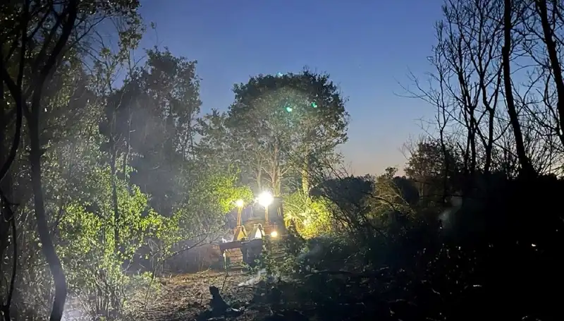 Edirne'deki Orman Yangını Kontrol Altına Alındı: Hayvanlar ve Doğa Kurtarıldı